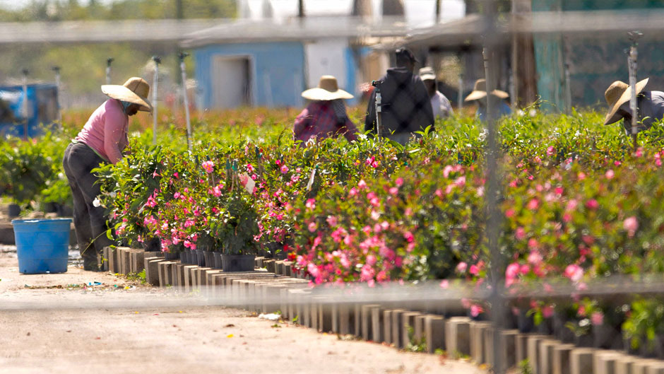 migrant workers